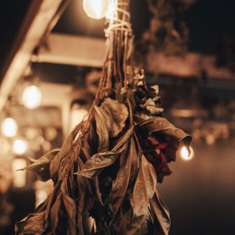 RoseRootedPDX_3WheelsTurning_RussellBohrPhoto-07